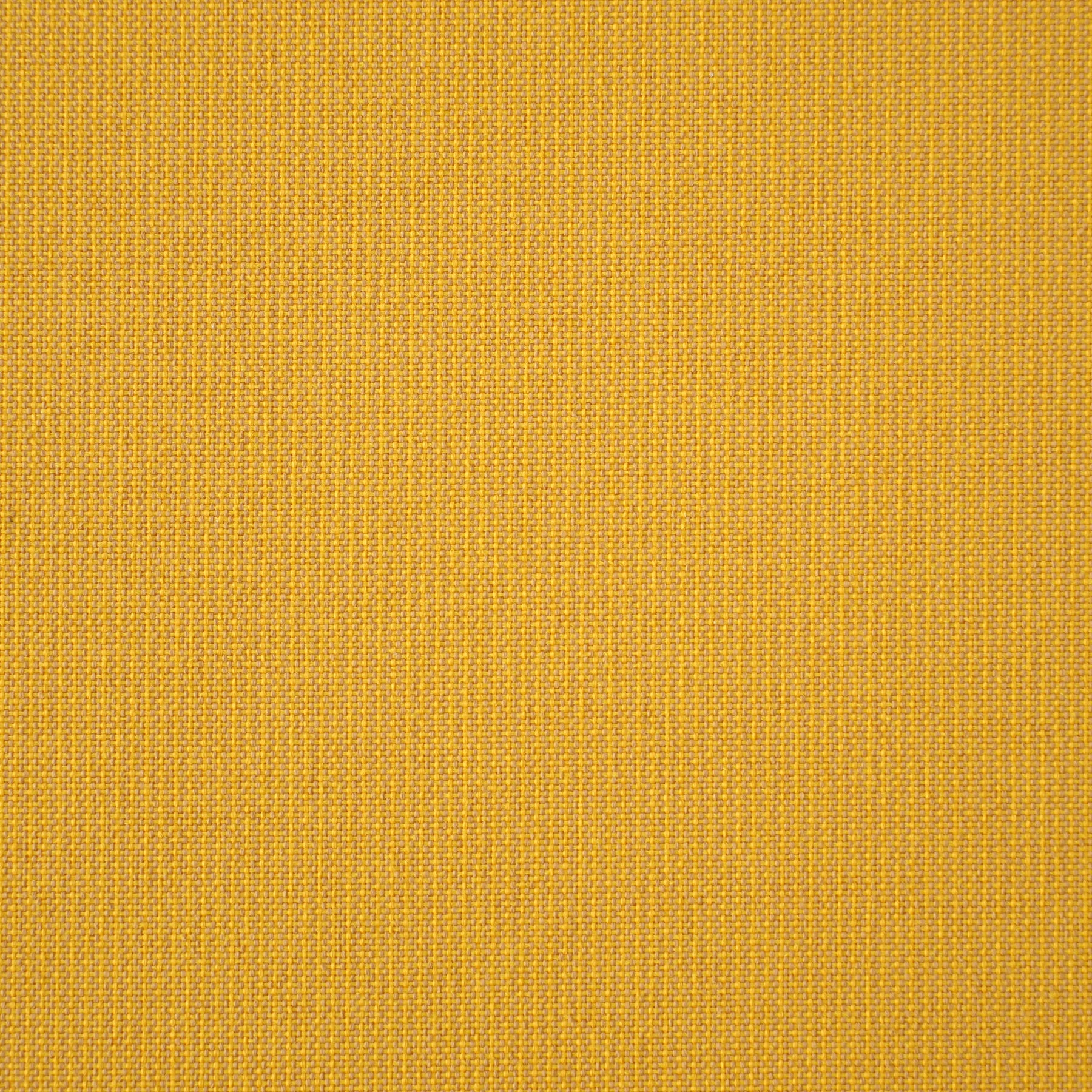 GoodGoods Outdoor Seat Cushion 20x20 in - Yellow - image 7